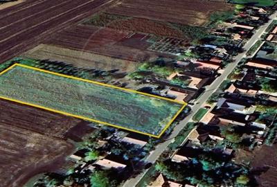 Teren de 5018 mp, în Variașu Mare - 9