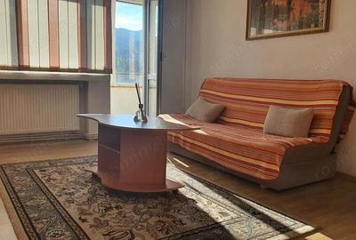 Apartament 2 camere in Deva, ultracentral - 12