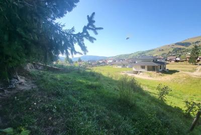 Teren Construcții intravilan de 5000 mp, în Nord - 18