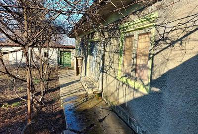 Casă în Fierbinți-Târg - 5