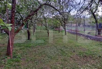 Teren de 600 mp, în Bercu Roșu - 1