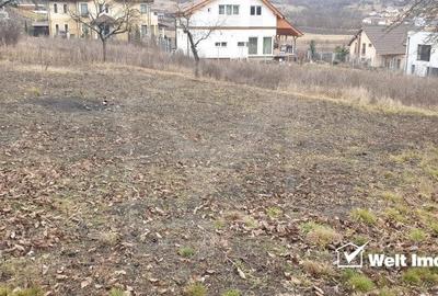 Teren 8000 mp, Borhanci, PUZ - 2