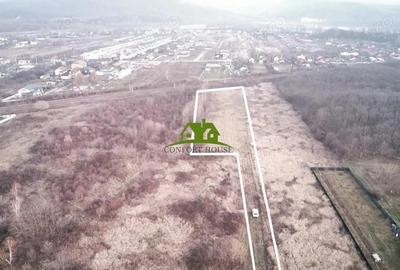 Teren Intravilan -plat-utilitati- Bujoreni la 3km de Nord RM.VL - 4