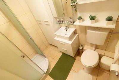 Apartament cu 2 camere decomandat, mobilat în Aviației - 9