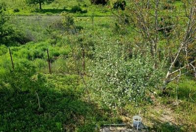 Cornetu,Vila,suprafa?a construita 135mp,5 camere,2 grupuri sanitare - 1