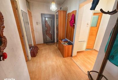 Apartament cu 3 camere decomandat în Terezian - 8
