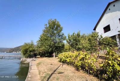 Afacerea Ideala- Vila cu deschidere la Dunare 50 ml cu Ponton amenajat, ESELNITA - 1