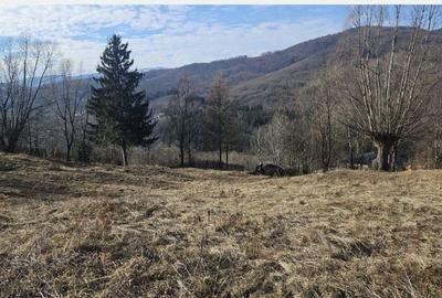 Spațiu comercial, în Secăria - 2