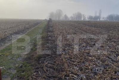 Teren 7200 mp extravilan, Miroslava-Vorovesti, langa zona d - 2