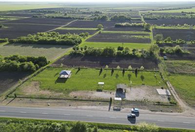 Inchiriere platforma teren 4.000 mp Curtici - 11