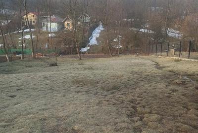 Casă cu Teren 900 Mp în Aluniș - 2