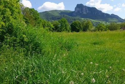 Teren intravilan, in Rimetea, suprafete intre 1000 - 10000 mp - 3