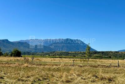 Teren Construcții intravilan de 2222 mp, în Sohodol - 1