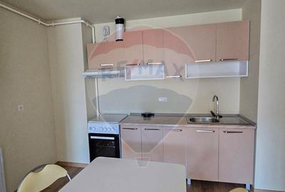 Apartament 2 camere de inchiriat mobilat si utilat Stadion Ghencea - 4