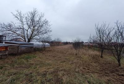 Casă individuală cu 2 camere cu Canalizare în Central - 8