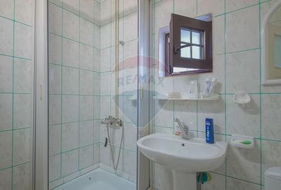 Casa / Vila cu 6 camere, in inima naturii, comision zero pt cumparator - 17