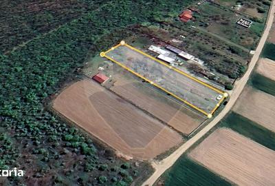 Teren de 2200 mp, în Bulbucata - 4