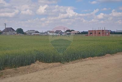 Teren intravilan 6,600mp Dumbraveni / Strada Principala spre Veresti - 10