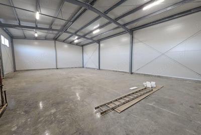 Spațiu comercial, de 1,000 mp, în Lugoj - 7