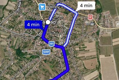 Teren agricol extravilan de 4600 mp, în Tășnad - 1