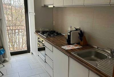 Apartament cu 2 camere semidecomandat în Dosu Bricii - 1