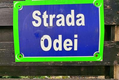 Vanzare casa 4 camere P+1E teren 444mp Strada Odei nr.174 Grand Arena Berceni - 22