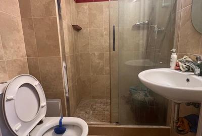 Apartament cu 2 camere semidecomandat, mobilat în P-ța Romană - 8