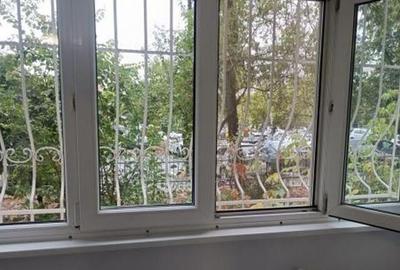 Dristor park lake parter - 2