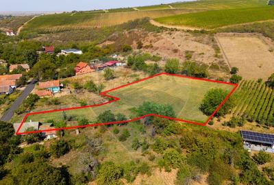 Mini?- destina?ia ideala pentru o resedin?a de lux ?... - 1