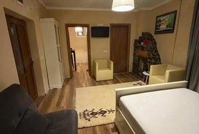 Garsonieră semidecomandată în Lupeni - 8