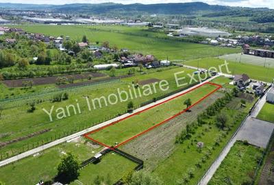 Teren de 2414 mp, în Valea Uleiului - 11