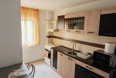 Apartament cu 2 camere semidecomandat, mobilat în Micălaca - 3