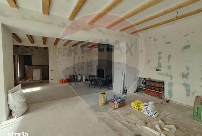 Casă cu 5 camere cu Teren 4000 Mp în Răzvad - 10