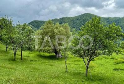 Teren de 16879 mp, în Mărtinie