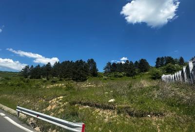 Teren 1370mp cu front de 38 mp Donath Park Teren 1370mp cu front de 38 mp Donath Park - 4