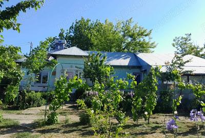 Casa de vanzare -45.000 - 3