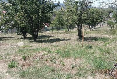 Teren de 1420 mp, în Chicerea - 4