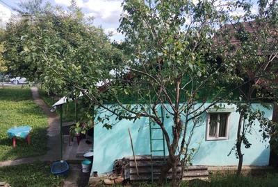 Casă în Aluniș - 4