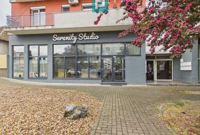 Spațiu comercial, de 135 mp, în Micălaca - 18