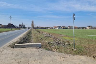 Teren de 4000 mp, în Balotești - 2