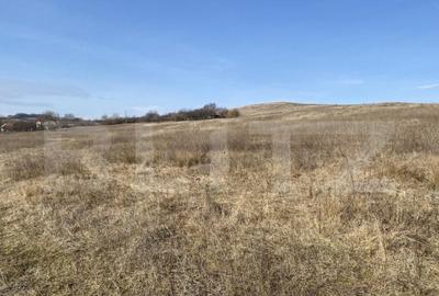 Teren extravilan in suprafata de 140551 mp in loc. Recea - 19