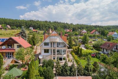 Casă individuală cu 12 camere în Moacșa - 3