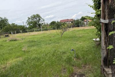Casă cu 4 camere în Câmpineanca - 7