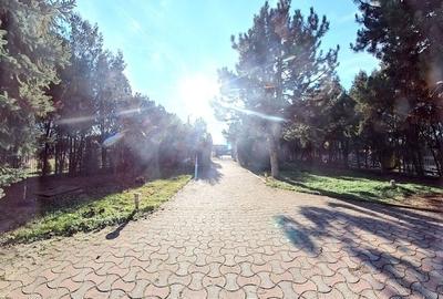 Vila deosebita pe Malul Lacului Grivita – Confort si Eleganta! - 4