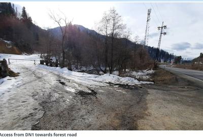 Teren Construcții intravilan de 4500 mp, în Timișu de Jos - 5