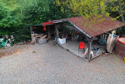 Cabana Colibi?a pe malul lacului - 6