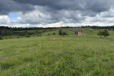 Teren agricol de 13600 mp, în Mărișel - 3