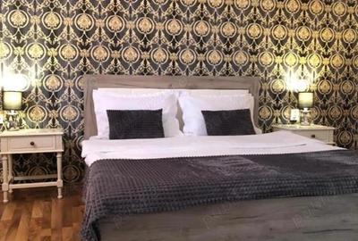 Casă cu 2 camere cu Teren 920 Mp în Cetate - 19