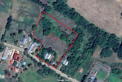 Teren de 4116 mp, în Miroslava