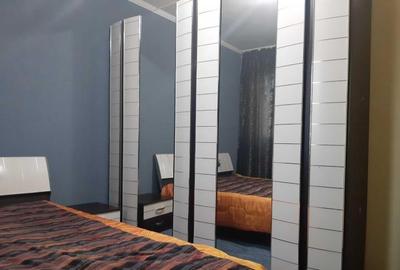 Apartament 2 camere Viilor - 3